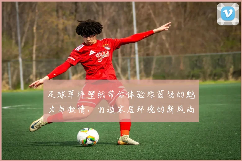 足球草坪壁纸带你体验绿茵场的魅力与激情，打造家居环境的新风尚