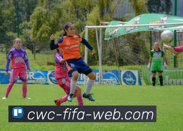 世界杯官方发展历程